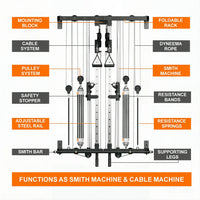 Folding Wall-Mounted Smith Machine